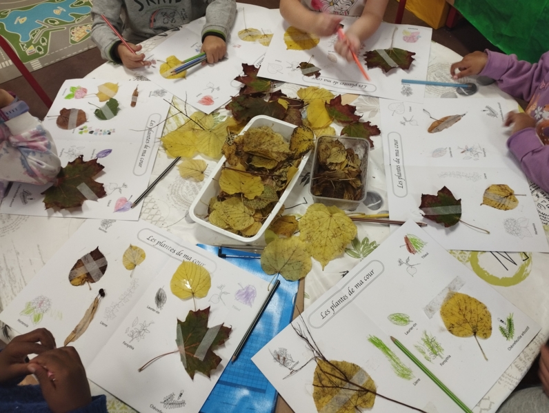 Herbier de l'école maternelle Salengro