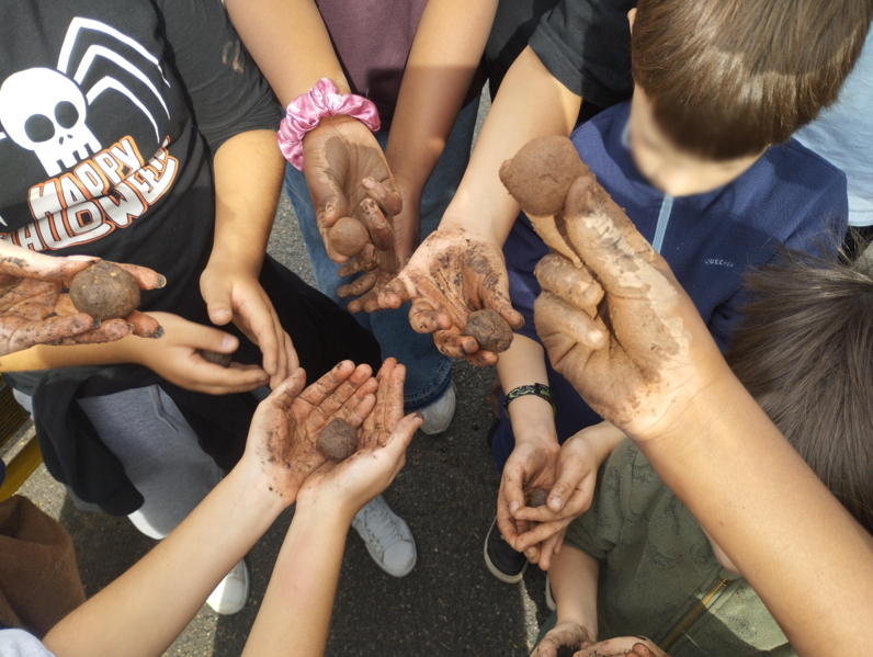 Atelier bombes à graines pour fleurir la cour