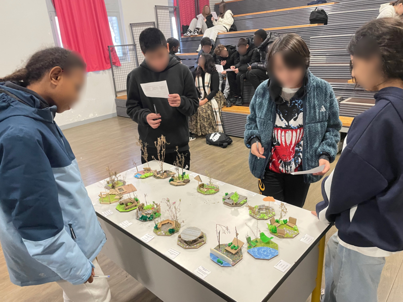 Les élèves du collège découvrent les travaux de la classe ambassadrice