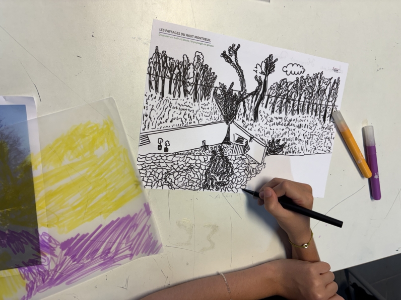 Dessin d’observation en classe