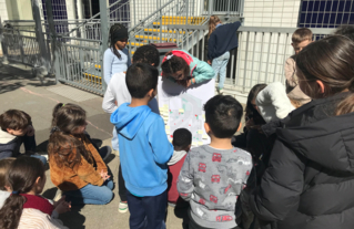 Diagnostic dans la cour en classe entière