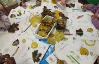 Herbier de l'école maternelle Salengro