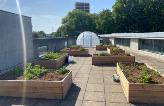 Photo du jardin au printemps